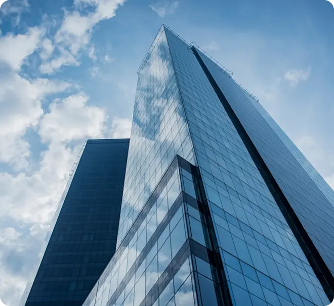 Blue Marina Asset Management